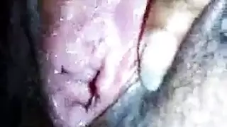 زوجه الهندي تورم الهرة إسرائيلي