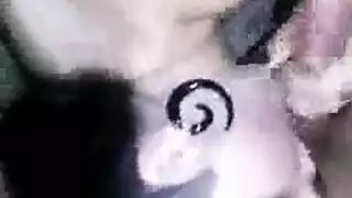 طالبات السنة الأولى تمص وتنكح زبر الأستاذ