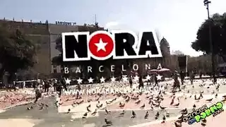 مؤسسة تصحيح هولندية: عاهرات خلف القضبان