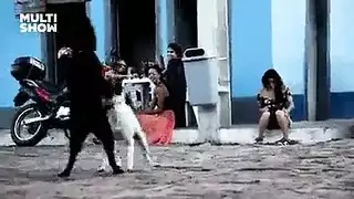 مصور حقيقي