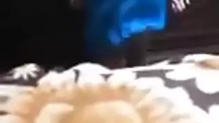 رقص مهرجان طيز كبيرة يتحول إلى بورن شرجي صريح
