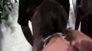 خالد يوسف مع شيما الحاج