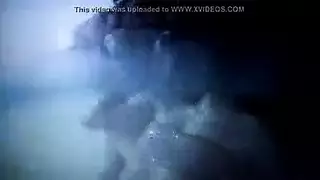 بوف سباحة صغير ديك