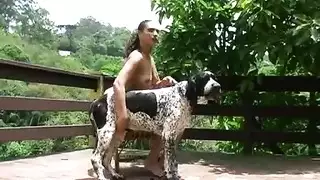 ممارسة الجنس مع الكلاب الحيونات