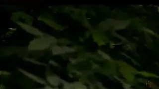 ثلاثي بين الأعراق بإيلاج مزدوج: فعل عنيف