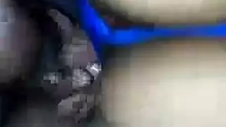 جنس حيواني جامد وخشن