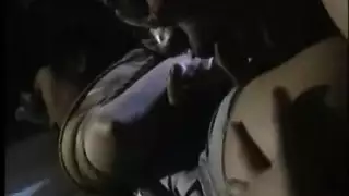 حمار الوحش