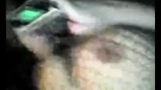 ممارسة سكس خام مع مخلوقات برية