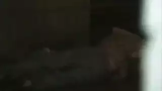 تجميع الوجه سري لانكا تجميع بخ