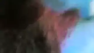 سكس مفاجئ