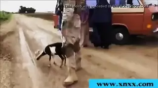 لص يغتصب شقراء جميلة