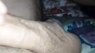 جنس الحيوانات البرية: فرس هائجة تأخذ عمود حصان ضخم