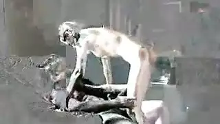 عبخ