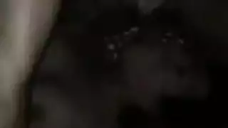 شاعر تجميع مجنون مثليه أمي