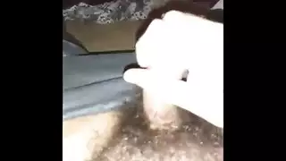 نص الحلم