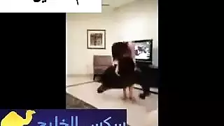 قحبة مبوقة سكرانة كتمص الاعماق