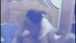 سكسي مصري