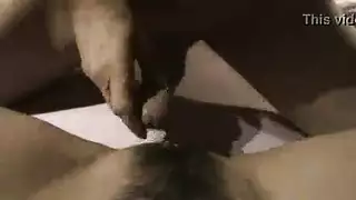 نروجية