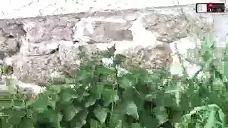 جنس سوداني جامع مص لقضيب أسود ضخم