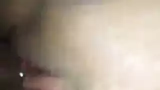 فحل ضخم يقدم لحمه اللذيذ