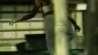 افلام سكس للحيوات صوت وصوره