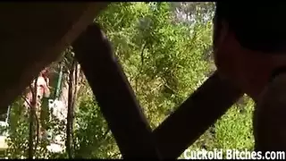 ثلاثي وحشي في حديقة حيوان الغابة