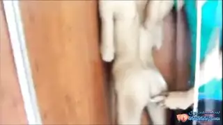 فىلام لزارنا