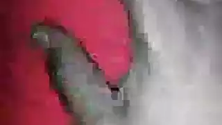 هيمنة سوداء: خضوع الكلبة البيضاء