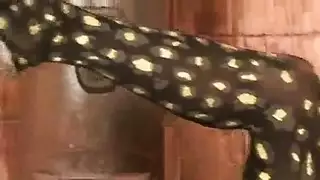 خيال جيسيكا سنو العبودي: جنس قوي وعبادة القذف