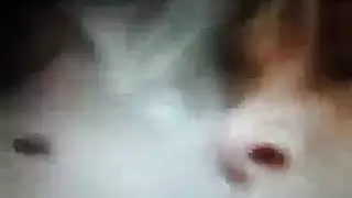 نيكبجنزات