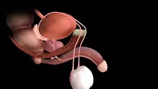 فيديو عربي للكبار: جنس منزلي ساخن بين أخ وأخته