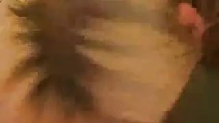 صديقة حميمة تعطي مصة نارية وتذوبه