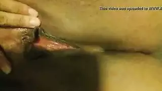 مبشر الدهون ناضجة مثقوب الهرة