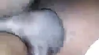 سكس قطيع
