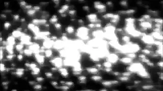فيديو جميل جدا مصر أنبوب الإباحية الحرة