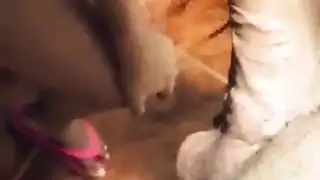 اوسخ سكس مصرى ممكن تشوفه سيد شغال نيك فيها فى رمضان و الشرموطة تقوله بالراحة طيب الجيران هتسمعنا