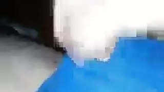 اثنين من السيدات قرنية ومدرب صالة الألعاب الرياضية وسيم سخيف مثل مجنون، في صالة الألعاب الرياضية