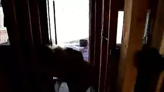الشقراوات الساخنة في الكلية يتناوبون على مص القضيب وأكل نائب الرئيس الطازج ، في النهاية الشقراوات الساخنة في الكلية يتناوبون على مص القضيب وأكل نائب الرئيس الطازج ، في النهاية
