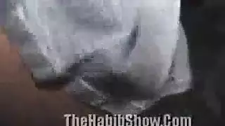 مترجمه بالعربي