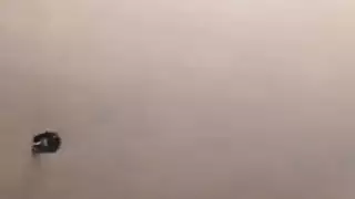 شقراء جمهور إذلال الإريل شقراء جمهور إذلال الإريل