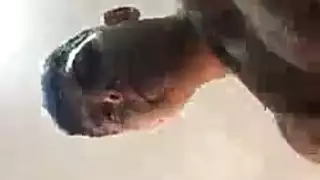 الفتيات هم موظفون شخصيون جيبيكس أنيق للحوزة وغالبا ما يذهبون إلى رئيسهم للعمل بجد الفتيات هم موظفون شخصيون جيبيكس أنيق للحوزة وغالبا ما يذهبون إلى رئيسهم للعمل بجد