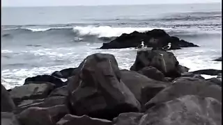 أصلع ، شعر الرجل حصل على اللسان من فاتنة الساخنة التي لديها شعر كس أصلع ، شعر الرجل حصل على اللسان من فاتنة الساخنة التي لديها شعر كس
