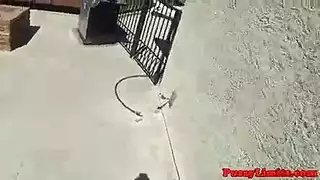 حصلت الفاسقة الحبر في جوارب طويلة على حمولة من نائب الرئيس في جميع أنحاء وجهها الجميل ، بعد انتهاءها حصلت الفاسقة الحبر في جوارب طويلة على حمولة من نائب الرئيس في جميع أنحاء وجهها الجميل ، بعد انتهاءها