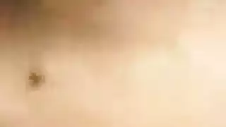 اليابانية الهواة فاتنة مارس الجنس من الخلف من قبل صديقها الصبي على التوالي اليابانية الهواة فاتنة مارس الجنس من الخلف من قبل صديقها الصبي على التوالي