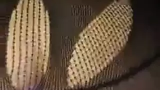 جبهة مورو السويدية ، كاتجا كاسين تتعرض للاضطراب خلال ثلاثية غير رسمية مع اثنين من اللاعبين الذين تحبهم كثيرًا. جبهة مورو السويدية ، كاتجا كاسين تتعرض للاضطراب خلال ثلاثية غير رسمية مع اثنين من اللاعبين الذين تحبهم كثيرًا.