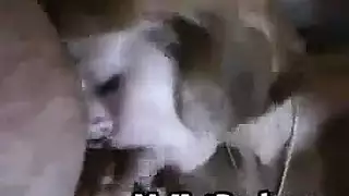شقراء مفلس مارس الجنس رجل قرنية تحب الكثير، بينما كان في طريقه إلى المنزل. شقراء مفلس مارس الجنس رجل قرنية تحب الكثير، بينما كان في طريقه إلى المنزل.