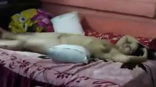 كسم الدلع والجزءالاول وفيلم مجدى الزبير مع ايناس مراته كبلز رايق وعلى الفرازه